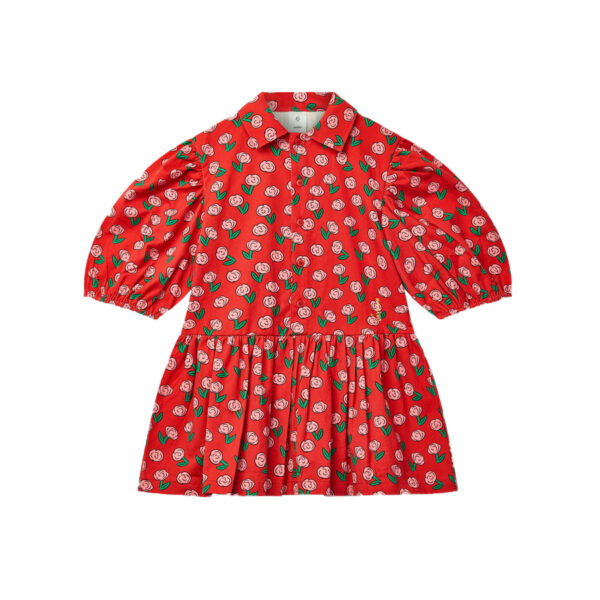 BEAU COLLAR DRESS - DANCING DAHLIA - WYNKEN