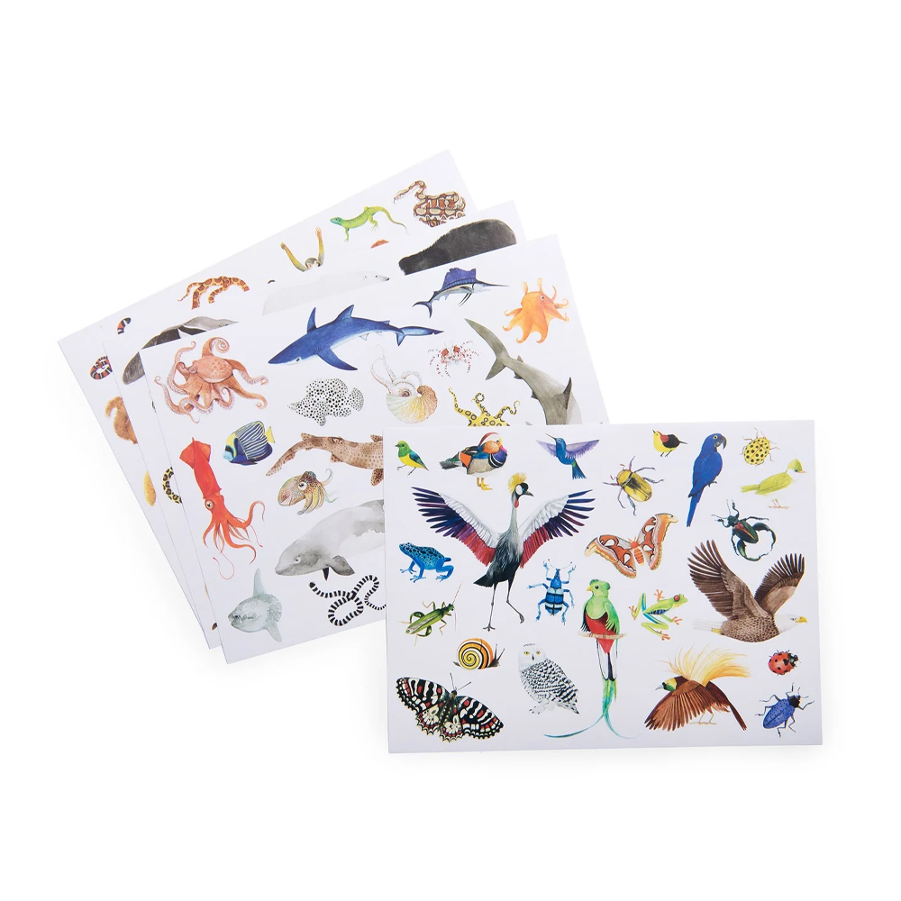 Pack of 78 stickers Tout autour du - MOULIN ROTY - Image 2